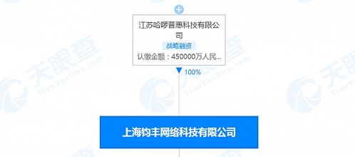 哈啰出行關(guān)聯(lián)公司注冊(cè)資本增至45億人民幣，信息系統(tǒng)集成服務(wù)成發(fā)展新引擎